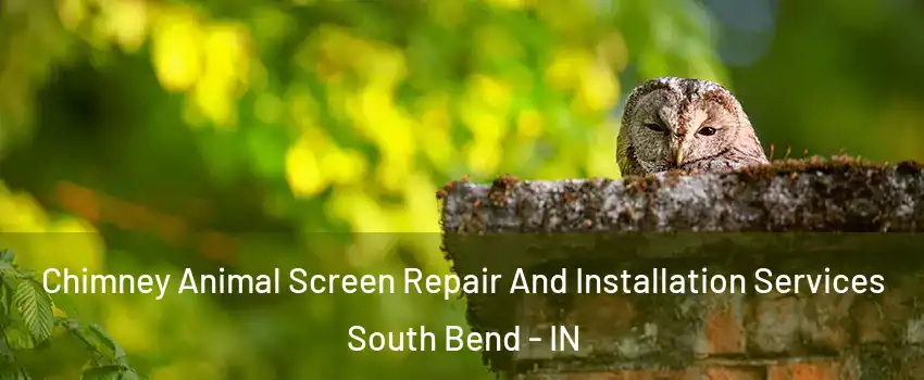  Chimney Animal Screen Repair And Installation Services South Bend - IN