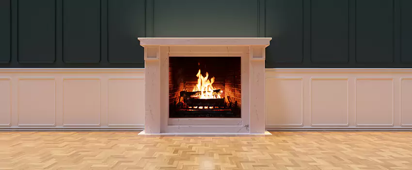 Napoleon Electric Fireplaces Inspection Service in South Bend, Indiana