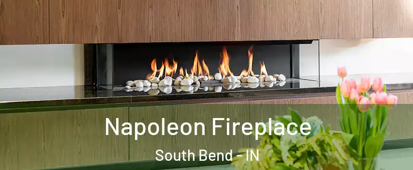  Napoleon Fireplace South Bend - IN